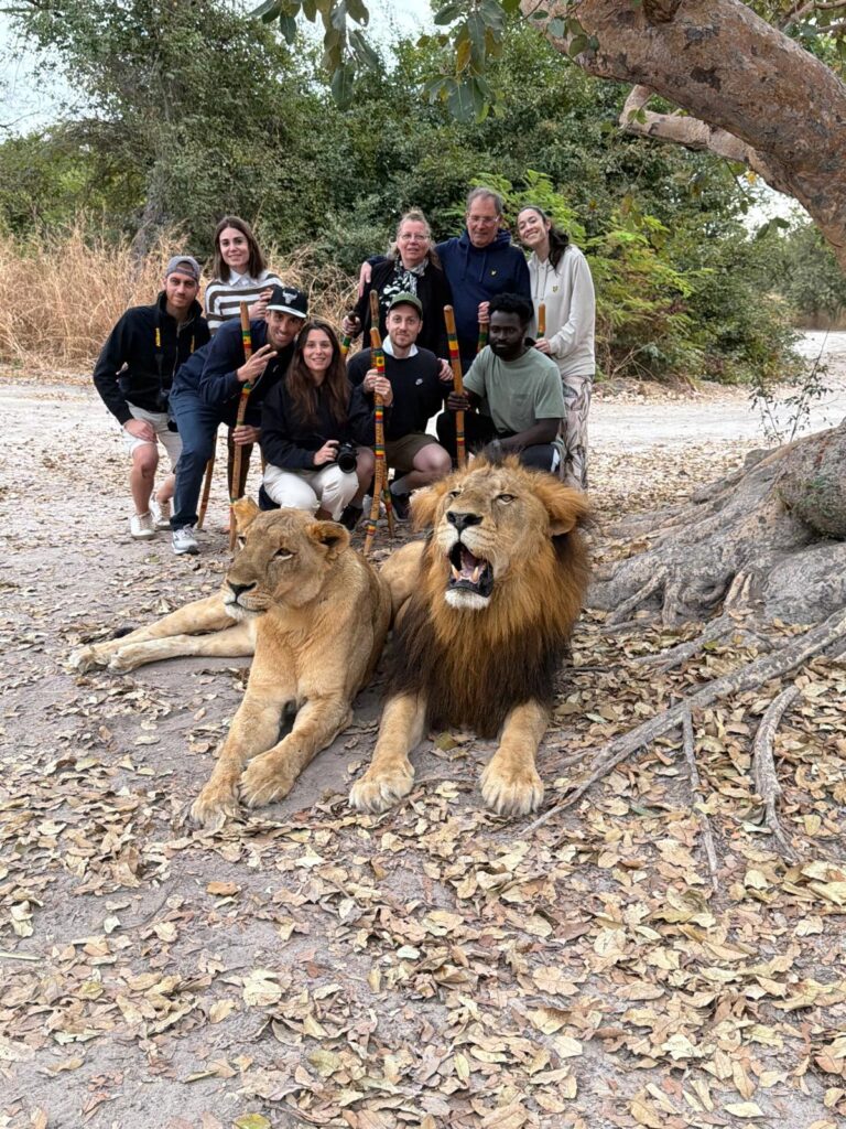 Safari_(2)
